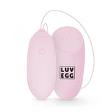 Ou vibrador a control remot