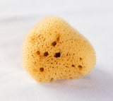 Esponja menstrual marina (tampó) - Reutilitzable - pack de 2 unitats