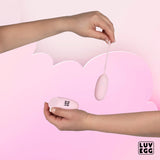 Ou vibrador a control remot