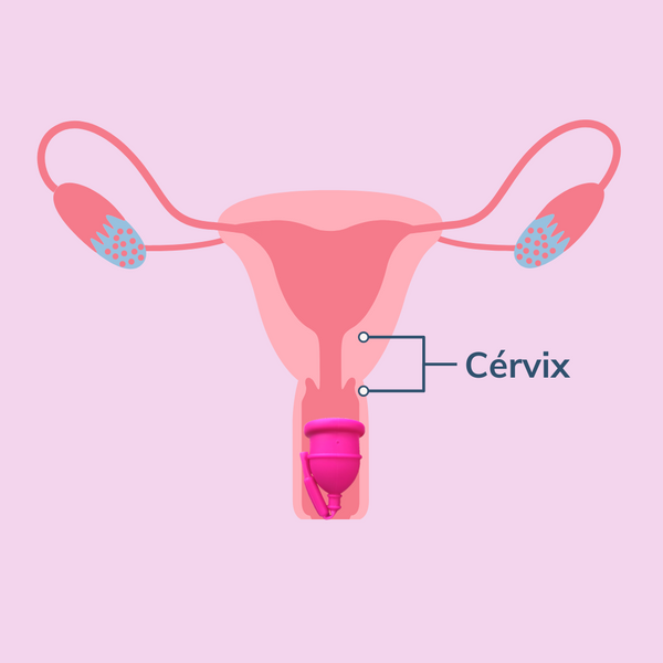 Copa Menstrual: l'única que es buida sense treure-te-la